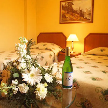 Otel Anit Park