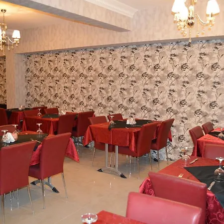 ホテル Anit Park アンカラ